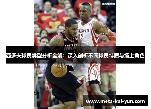 西多夫球员类型分析全解：深入剖析不同球员特质与场上角色