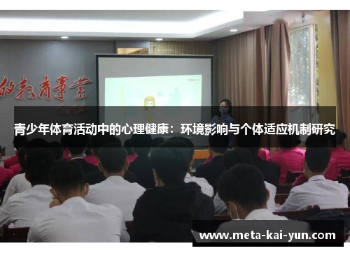 青少年体育活动中的心理健康：环境影响与个体适应机制研究