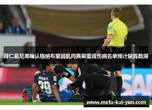 拜仁慕尼黑确认格纳布里因肌肉撕裂重返伤病名单预计缺阵数周 拜仁慕尼黑确认格纳布里因肌肉撕裂重返伤病名单预计缺阵数周